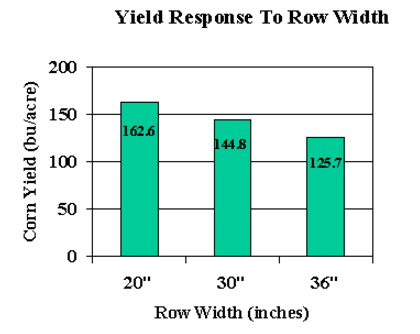 Figure 2-3. Corn yields at three different row widths in 1996 Ca